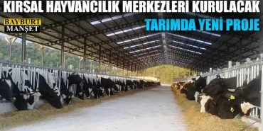 Köylere kırsal hayvancılık merkezleri kurulacak