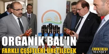 Organik Bal’ın Farklı Çeşitleri Üretilecek