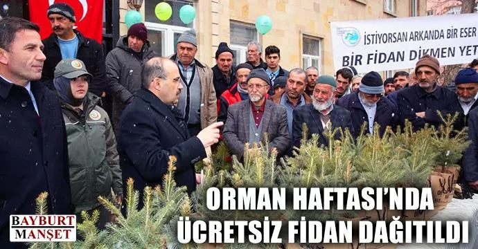 Orman Haftası’nda Ücretsiz Fidan Dağıtıldı