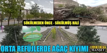 Orta refüjlerde ağaç kıyımı