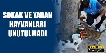 Sokak ve Yaban Hayvanları Unutulmadı