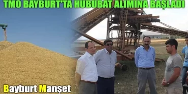 TMO Bayburt'ta Hububat Alımına Başladı