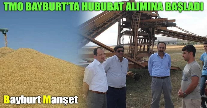 TMO Bayburt'ta Hububat Alımına Başladı