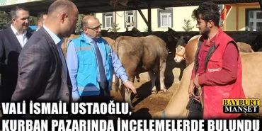 Vali İsmail Ustaoğlu, Kurban Pazarını İnceledi