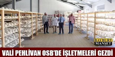 Vali Pehlivan OSB'de İşletmeleri Gezdi