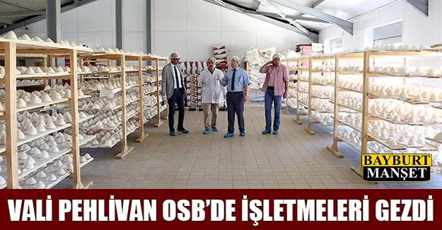 Vali Pehlivan OSB'de İşletmeleri Gezdi